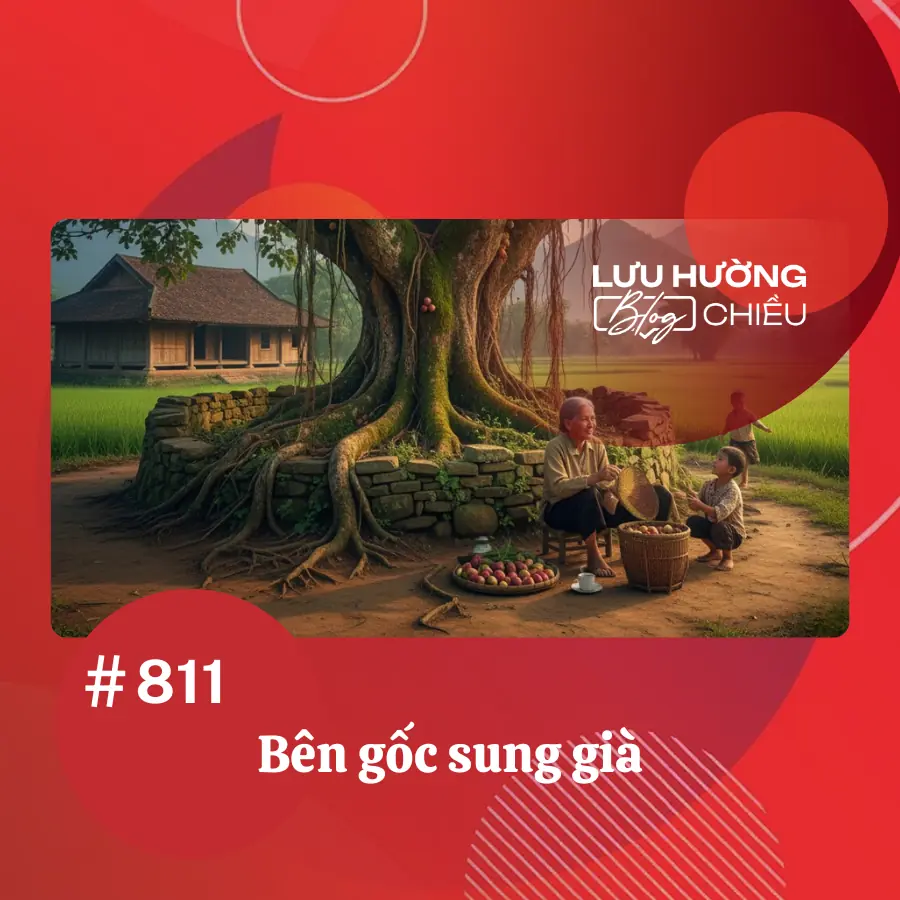 Bên gốc sung già